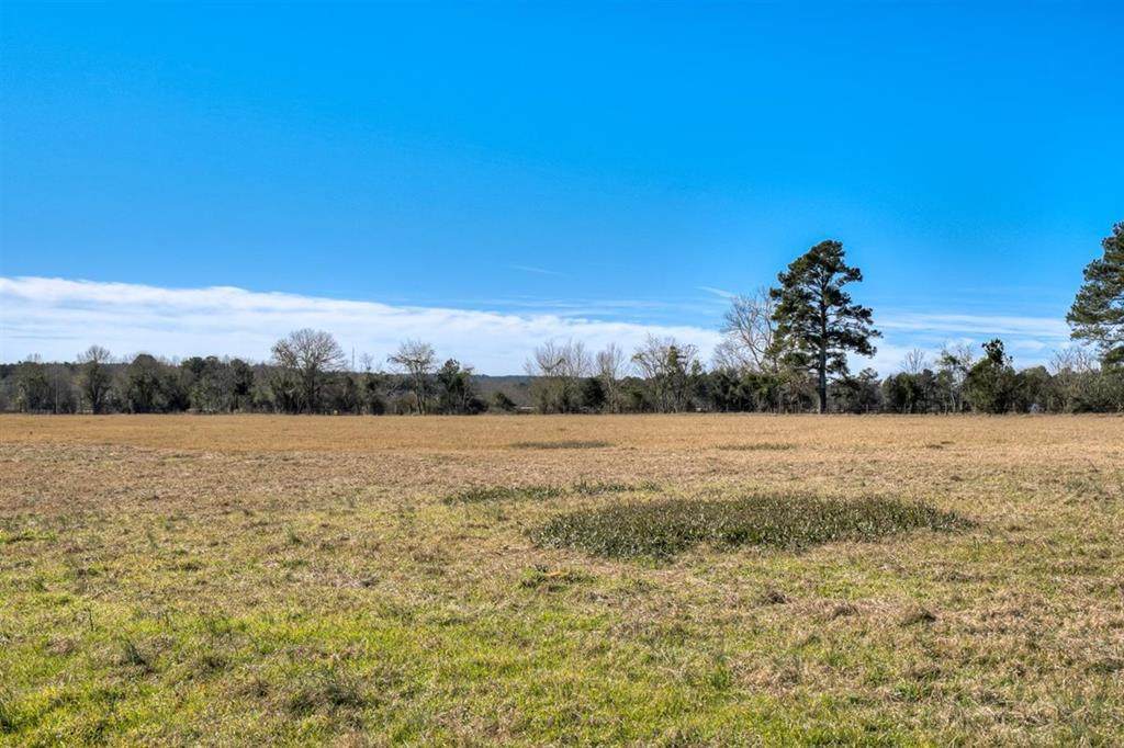 Lot 4 Wire Road - Photo 1
