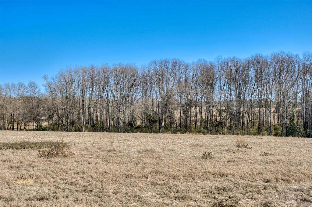 Lot 5 Wire Road - Photo 1