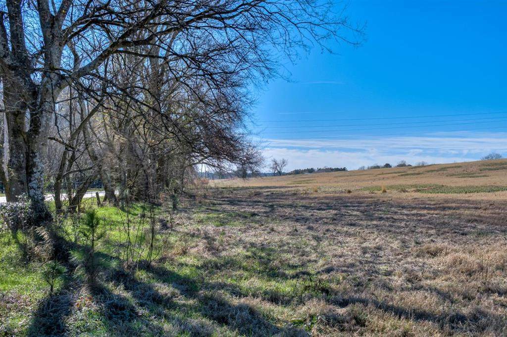 Lot 7 Wire Road - Photo 1
