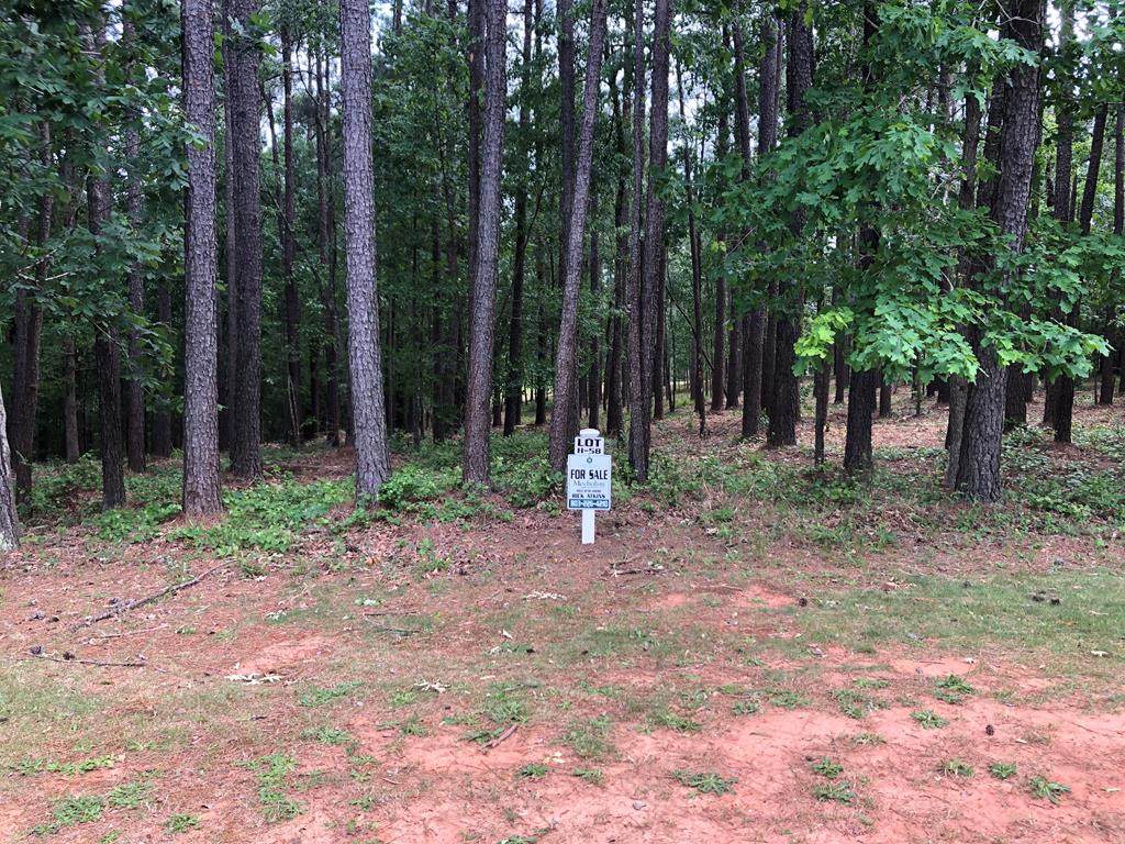 Lot H-58 Longstreet Place - Photo 1