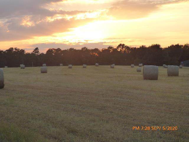 1615 Dairy Road - Photo 1