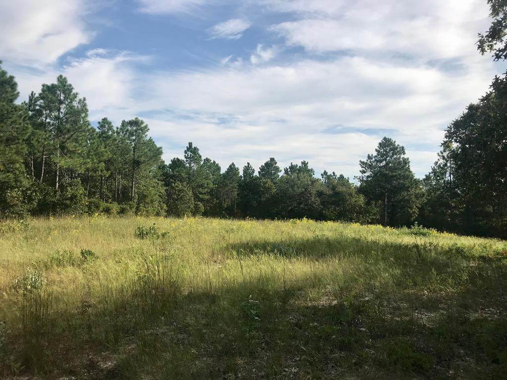 LOT#13 197 Holder Road - Photo 1