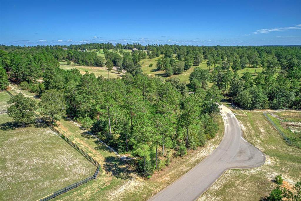 231 Cedar Ridge Drive - Photo 1
