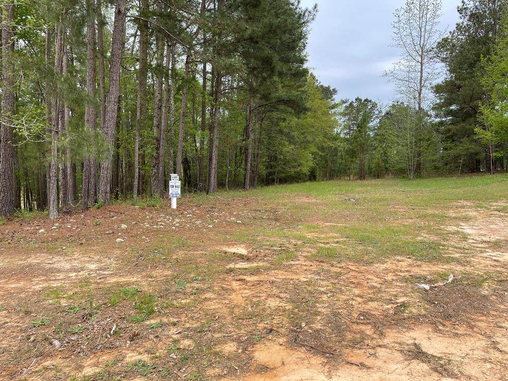 Lot M-54 Captain Johnsons Drive - Photo 1