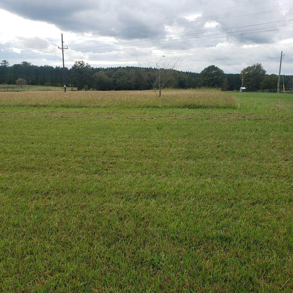 163 Lanier Road - Photo 1