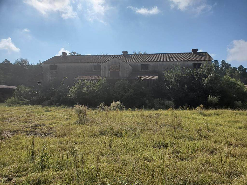 126 Cedar Street - Photo 1