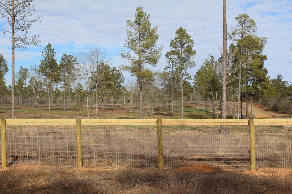 Lot A-5and8 Pottery Mill Road - Photo 1
