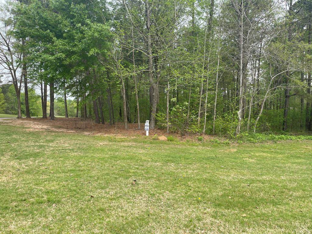 Lot K-1 Collin Reeds Road - Photo 1