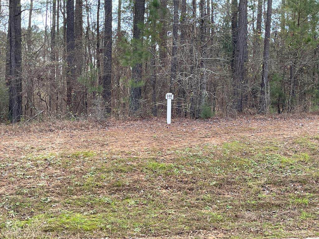 Lot N-63 Eutaw Springs Trail - Photo 1