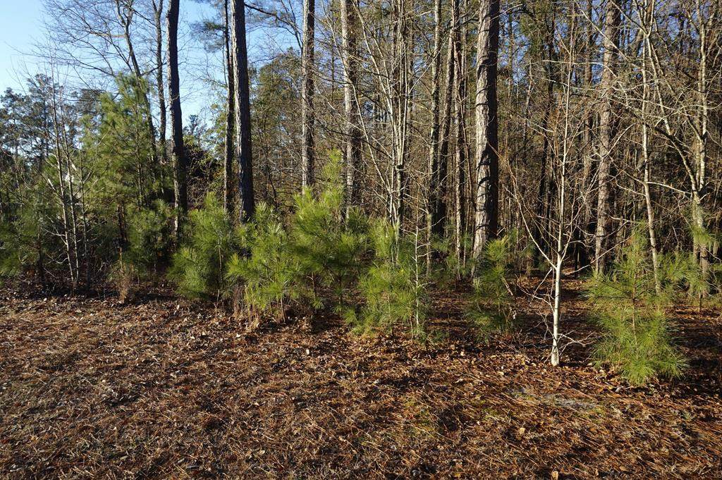 142 Spring Stone Court - Photo 1