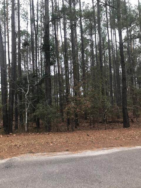 0 Lakewood Parkway - Photo 1