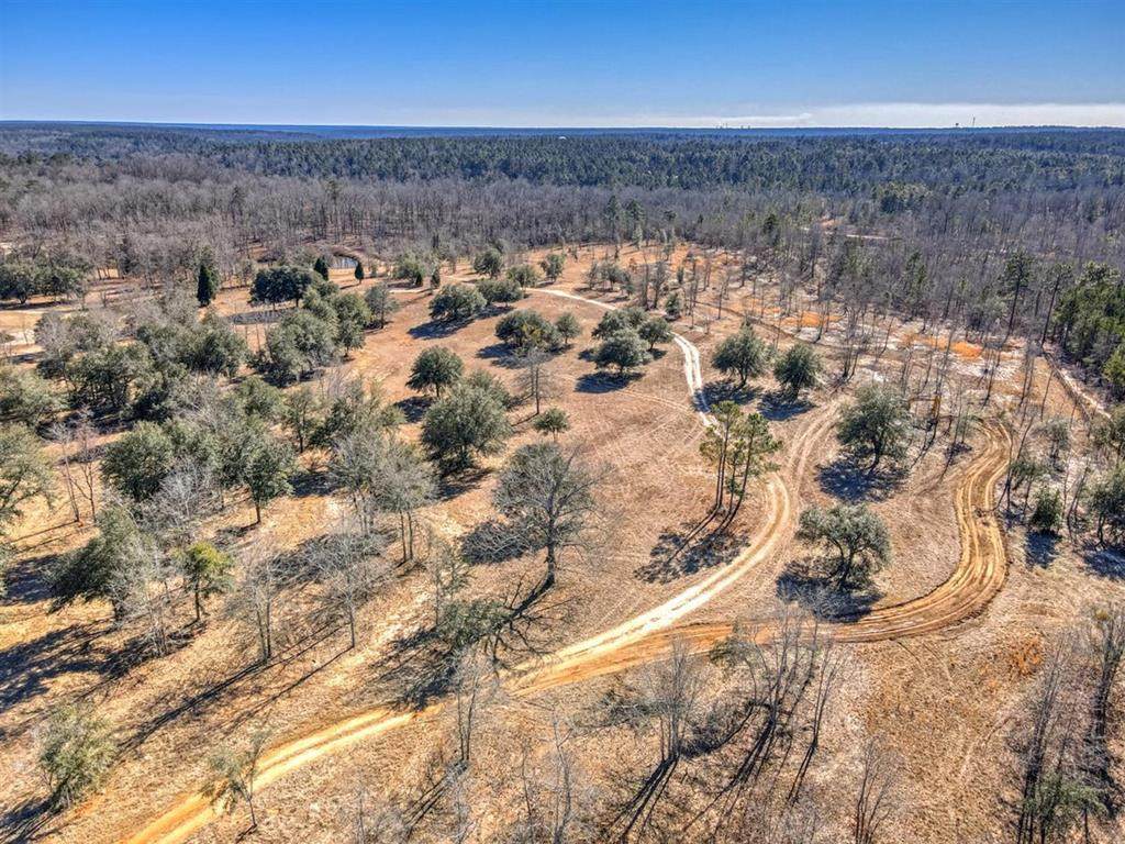 Parcel 5 Lewis Lane - Photo 1