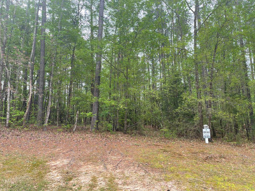 Lot H-06 Savannah Way - Photo 1
