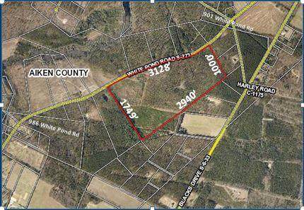 000 White Pond Road - Photo 1