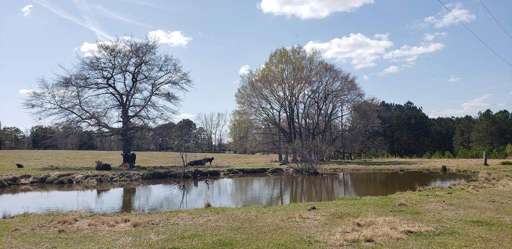716 Augusta Road - Photo 1