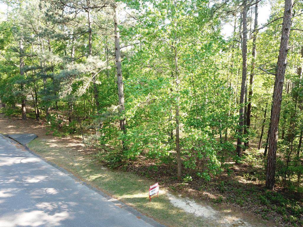 Lot 4 Woodvalley Road - Photo 1