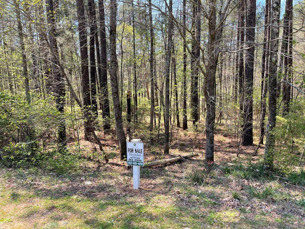 Lot J-41 Collin Reeds Road - Photo 1
