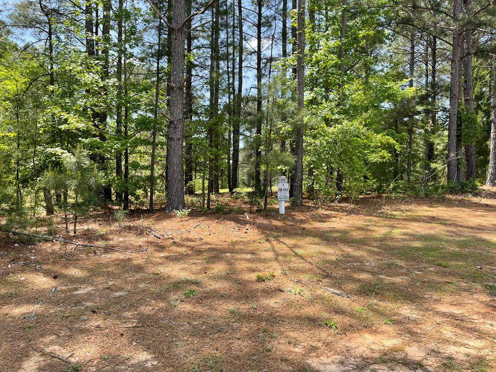 Lot M-55 Captain Johnsons Drive - Photo 1