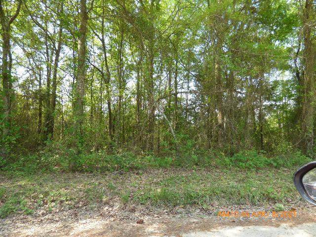 Lot 3 Irving Road - Photo 1
