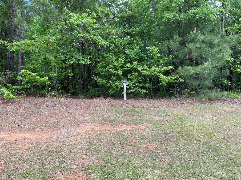 Lot N-19 Captain Johnsons Drive - Photo 1