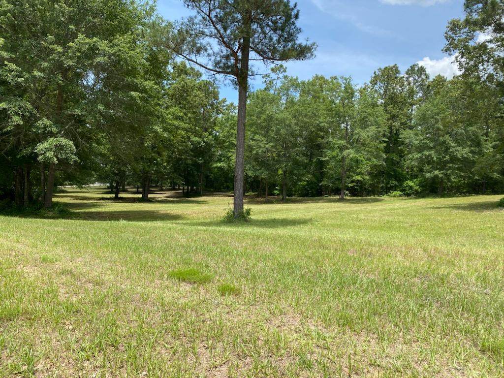 1511 Cedar Meadows Road - Photo 1