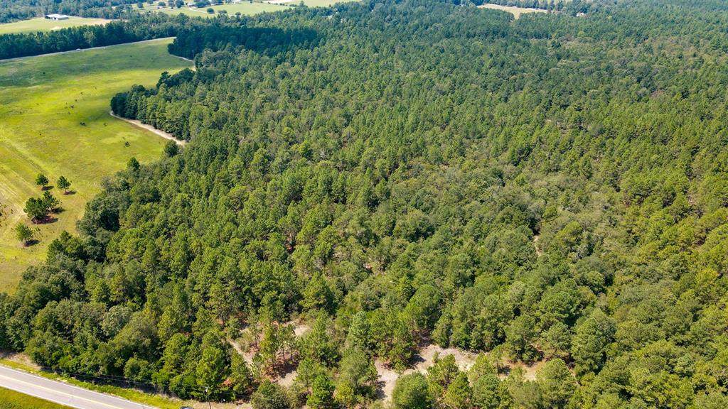 13.962 Acres State Park Road - Photo 1