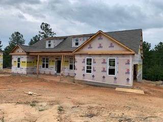 1203 Tralee Drive - Photo 1