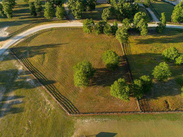 533 Paloma Lane - Photo 1