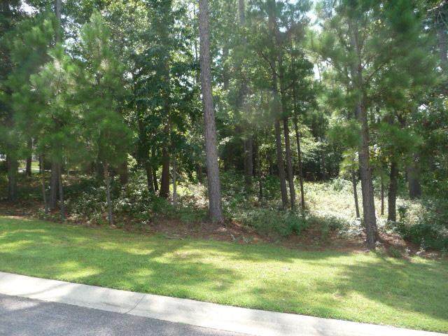 230 Birch Tree Circle - Photo 1