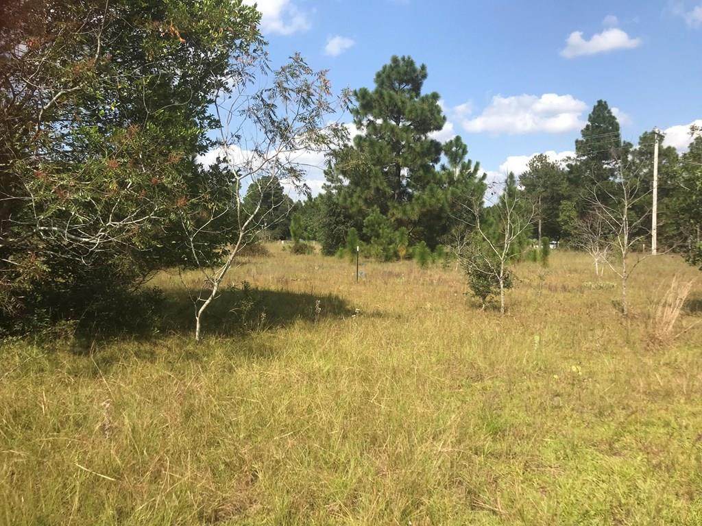 Lot B Piper Road - Photo 1
