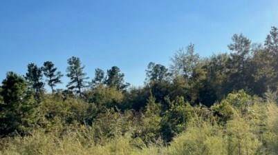 6107 Highway 278 - Photo 1