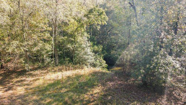 0 Colbert Bridge Road - Photo 1