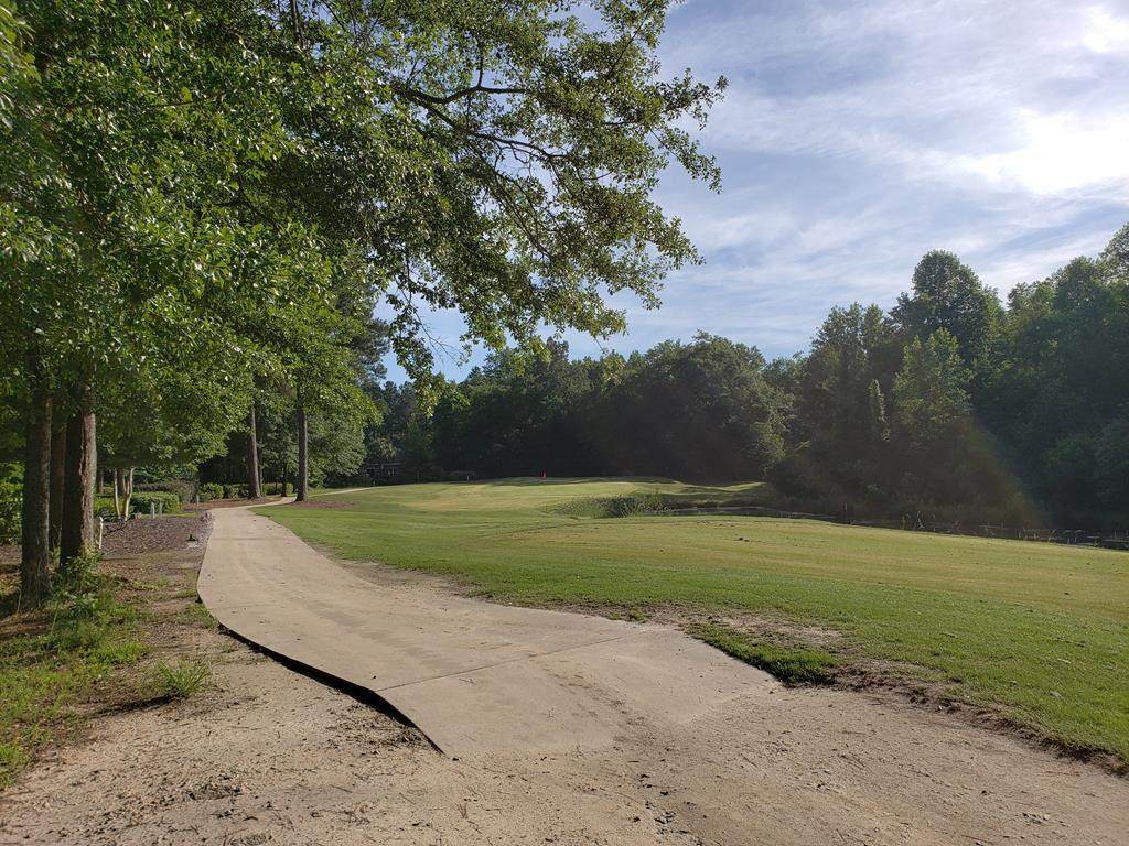 146 Long Shadow Drive - Photo 1