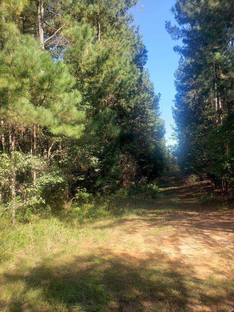 047 Lucius Lane - Photo 1