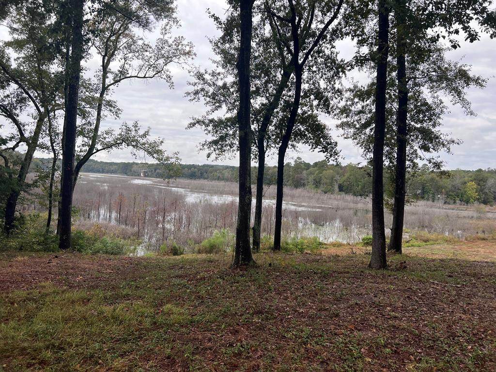 00 Weeping Willow Lane - Photo 1