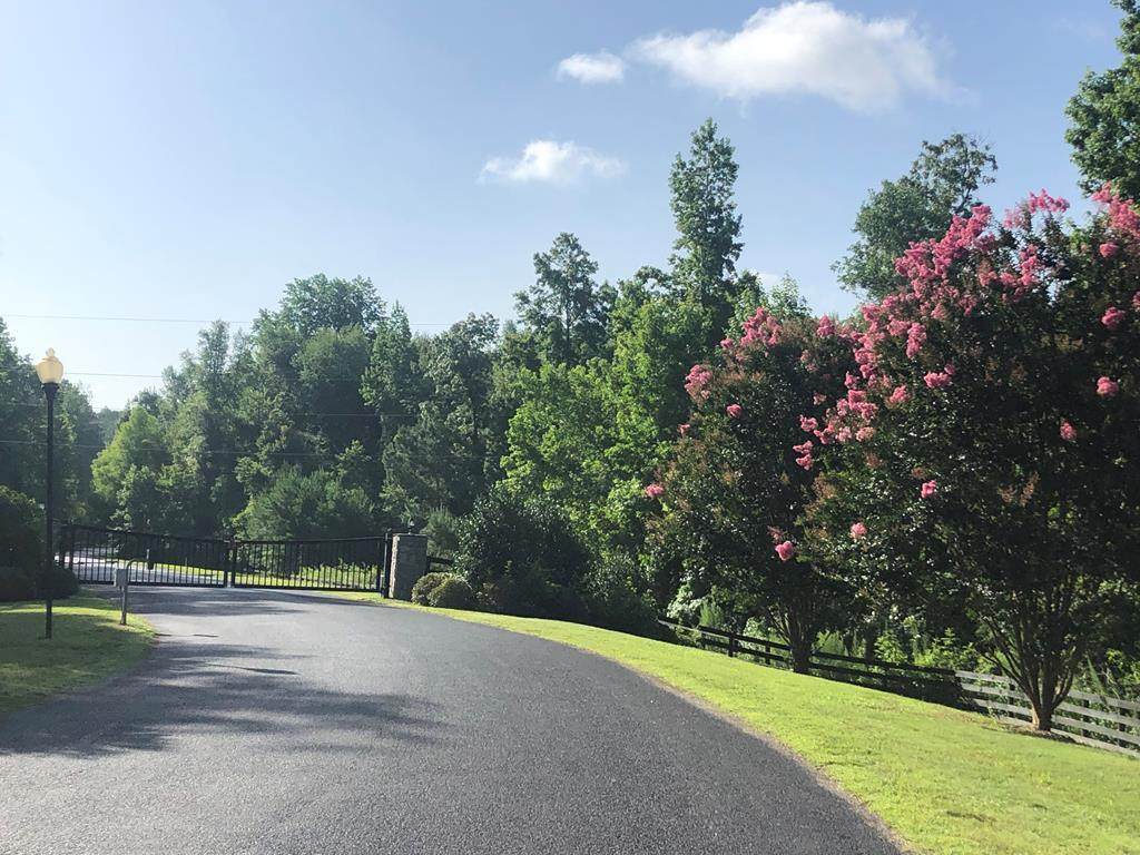 Lot 65 & 66 Lake Forest Lane - Photo 1
