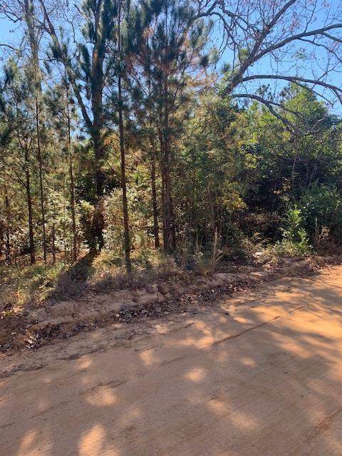 Lot 8-B James Schull Road - Photo 1