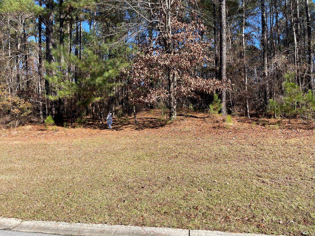 Lot J-29 Collin Reeds Road - Photo 1
