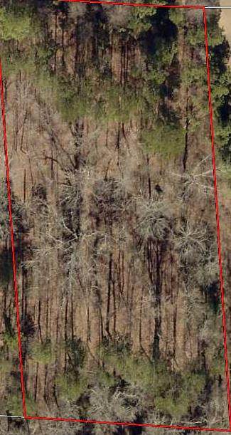 235 Natures Lane - Photo 1