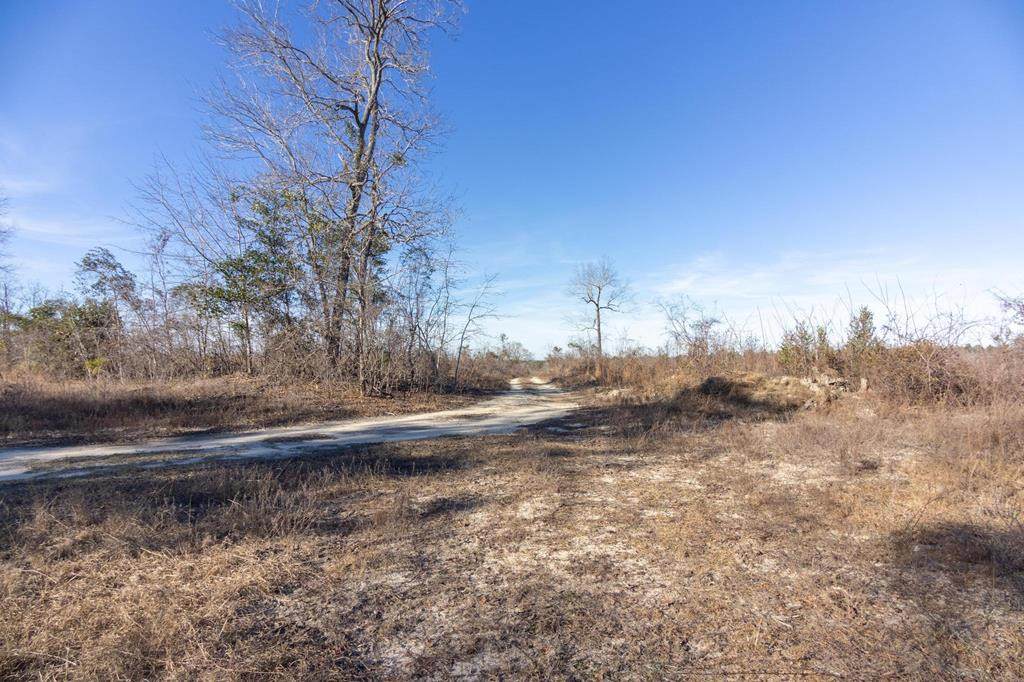 000 Colbert Bridge Road - Photo 1