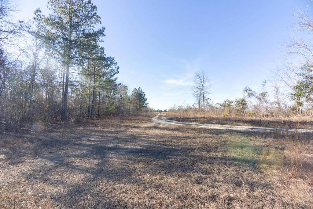 340 Boggy Gut Road - Photo 1