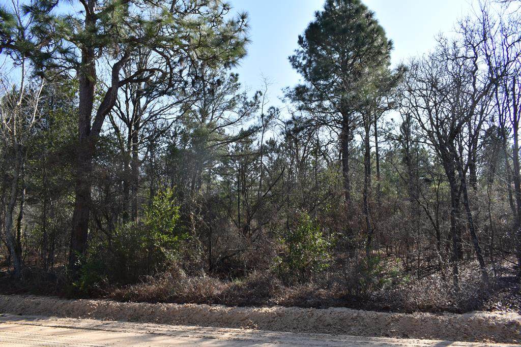 15.85 Acre Stonewall Jackson Road - Photo 1