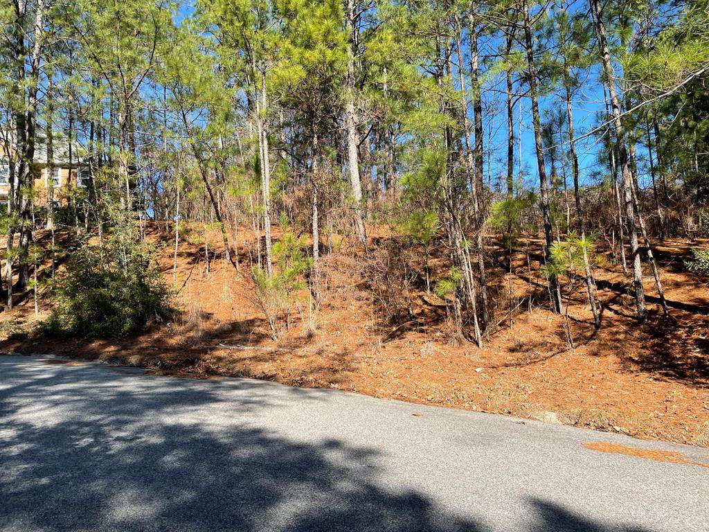 00 Live Oak Road - Photo 1