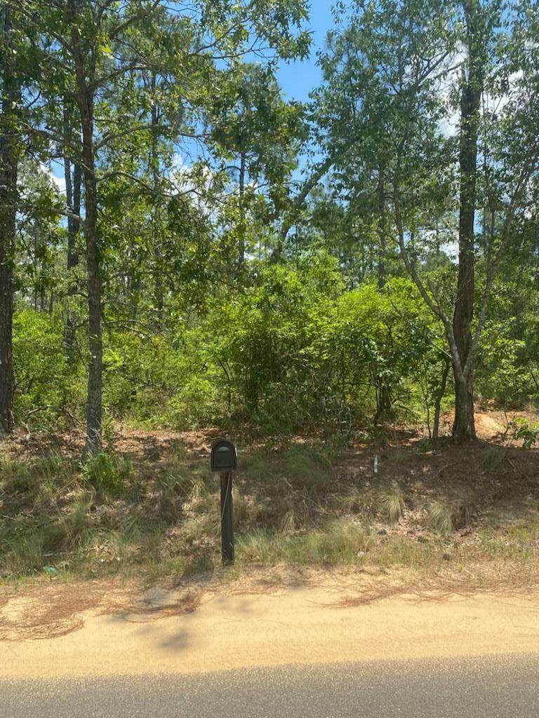 00 Cedar Road - Photo 1