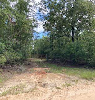 387 Long Cane Road - Photo 1
