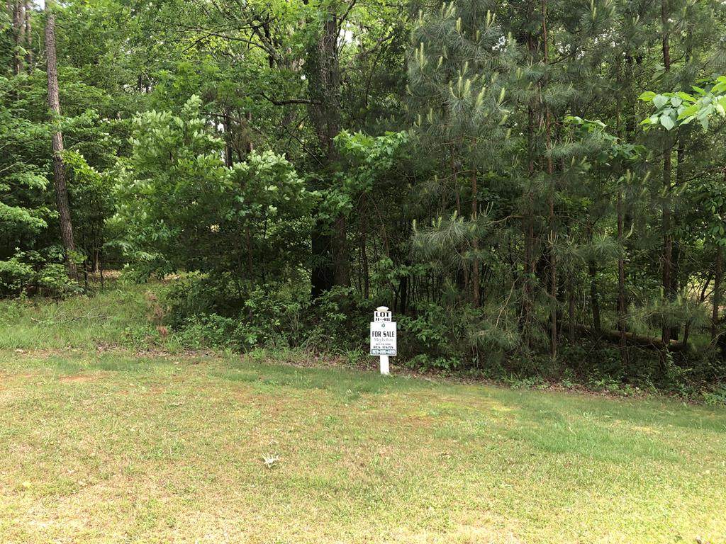 Lot H-48 Longstreet Place - Photo 1