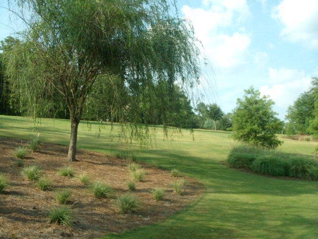 517 W Pleasant Colony Drive - Photo 1