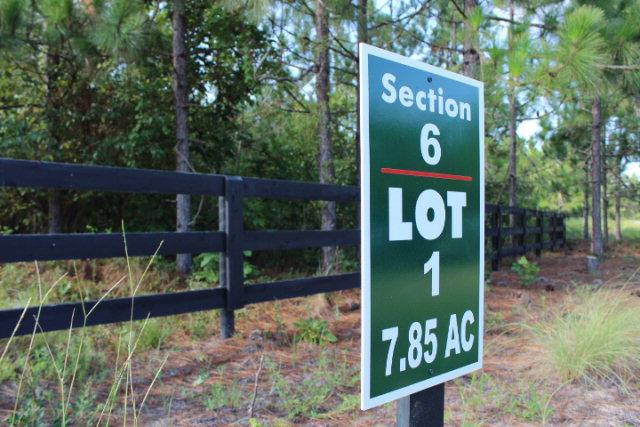 Lot 1-6 Barrington Farms Drive - Photo 1