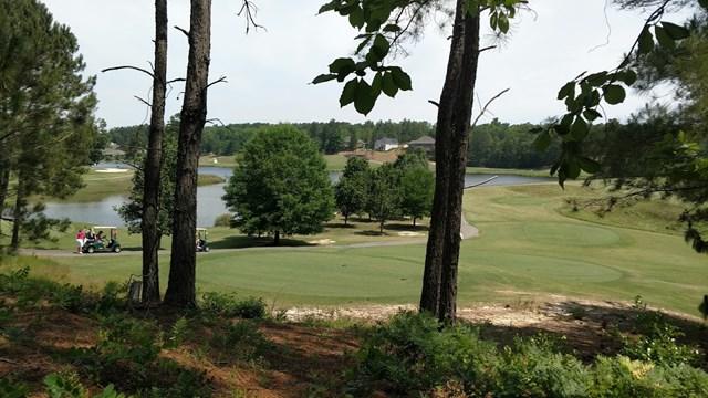 185 Foxhound Run - Photo 1