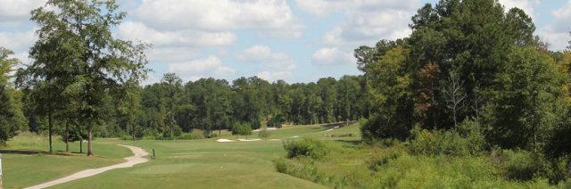 Lot L-16 Beaver Pond Court - Photo 1